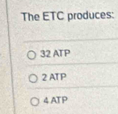 The ETC produces:
32 ATP
2 ATP
4 ATP