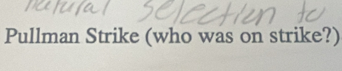 Pullman Strike (who was on strike?)