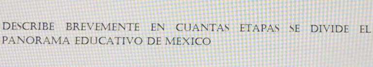 DESCRIBE BREVEMENTE EN CUANTAS ETAPAS SE DIVIDE EL 
PANORAMA EDUCATIVO DE MEXICO