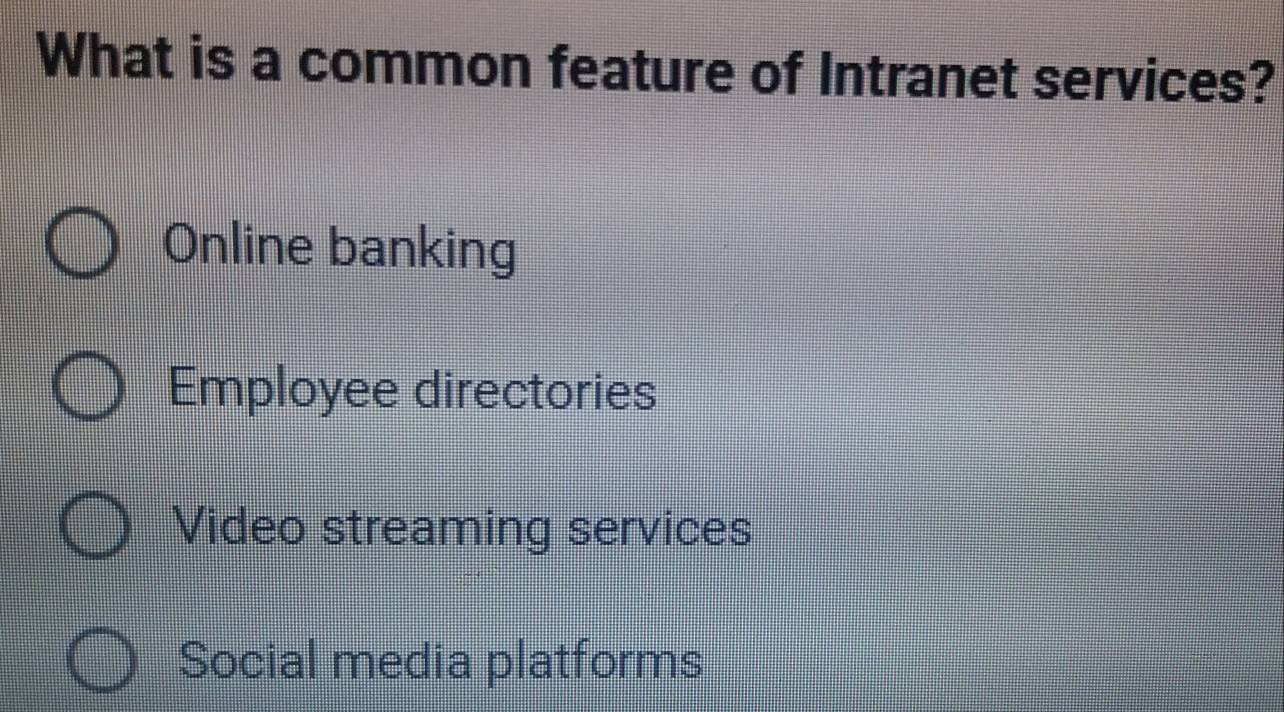 What is a common feature of Intranet services?
Online banking
Employee directories
Video streaming services
Social media platforms