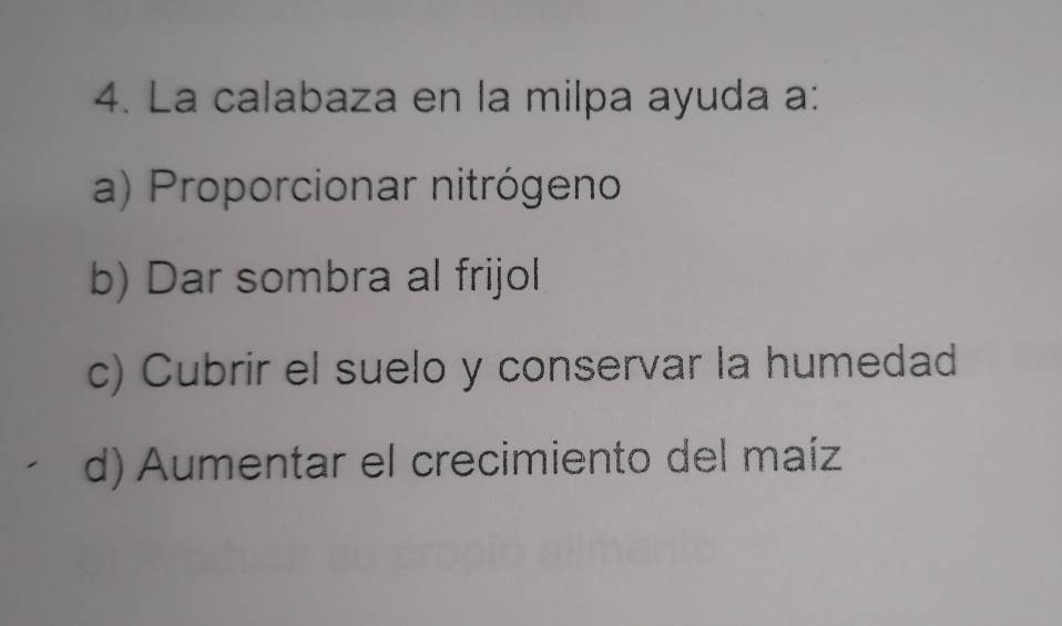 La calabaza en la milpa ayuda a:
a) Proporcionar nitrógeno
b) Dar sombra al frijol
c) Cubrir el suelo y conservar la humedad
d) Aumentar el crecimiento del maíz