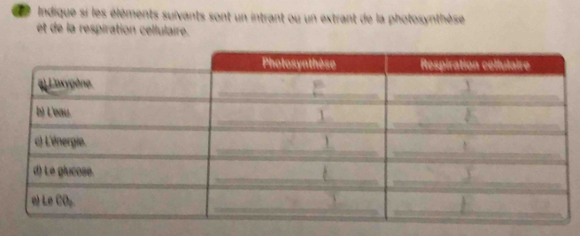 Indique si les éléments suivants sont un intrant ou un extrant de la photosynthèse 
et de la respiration cellulaire.