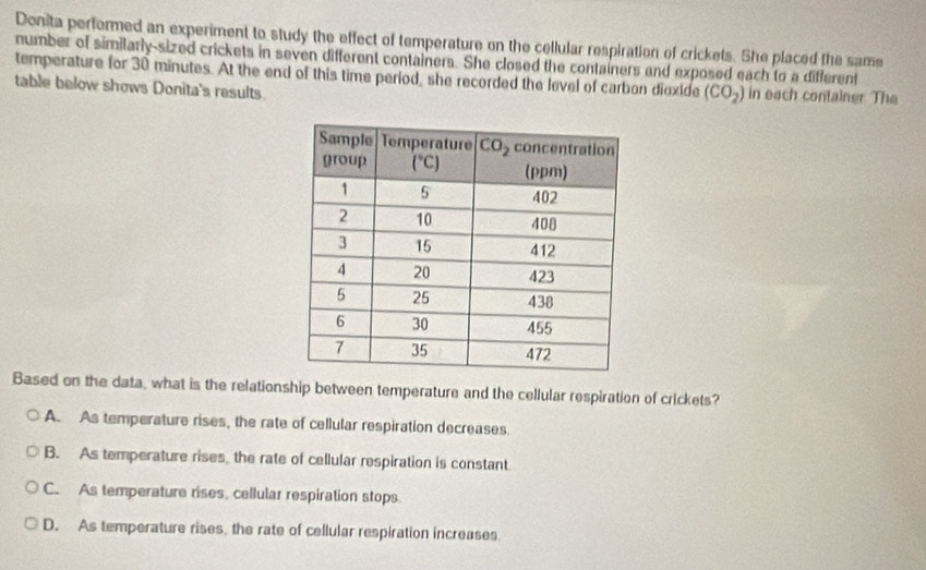 Donita performed an experiment to study the effect of temperature on the cellular respiration of crickets. She placed the same
number of similarly-sized crickets in seven different containers. She closed the containers and exposed each to a different
temperature for 30 minutes. At the end of this time period, she recorded the level of carbon dioxide (CO_2) in each container The
table below shows Donita's results
Based on the data, what is the relationship between temperature and the cellular respiration of crickets?
A. As temperature rises, the rate of cellular respiration decreases.
B. As temperature rises, the rate of cellular respiration is constant
C. As temperature rises, cellular respiration stops.
D. As temperature rises, the rate of cellular respiration increases