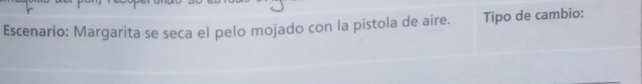 Escenario: Margarita se seca el pelo mojado con la pistola de aire. Tipo de cambio: