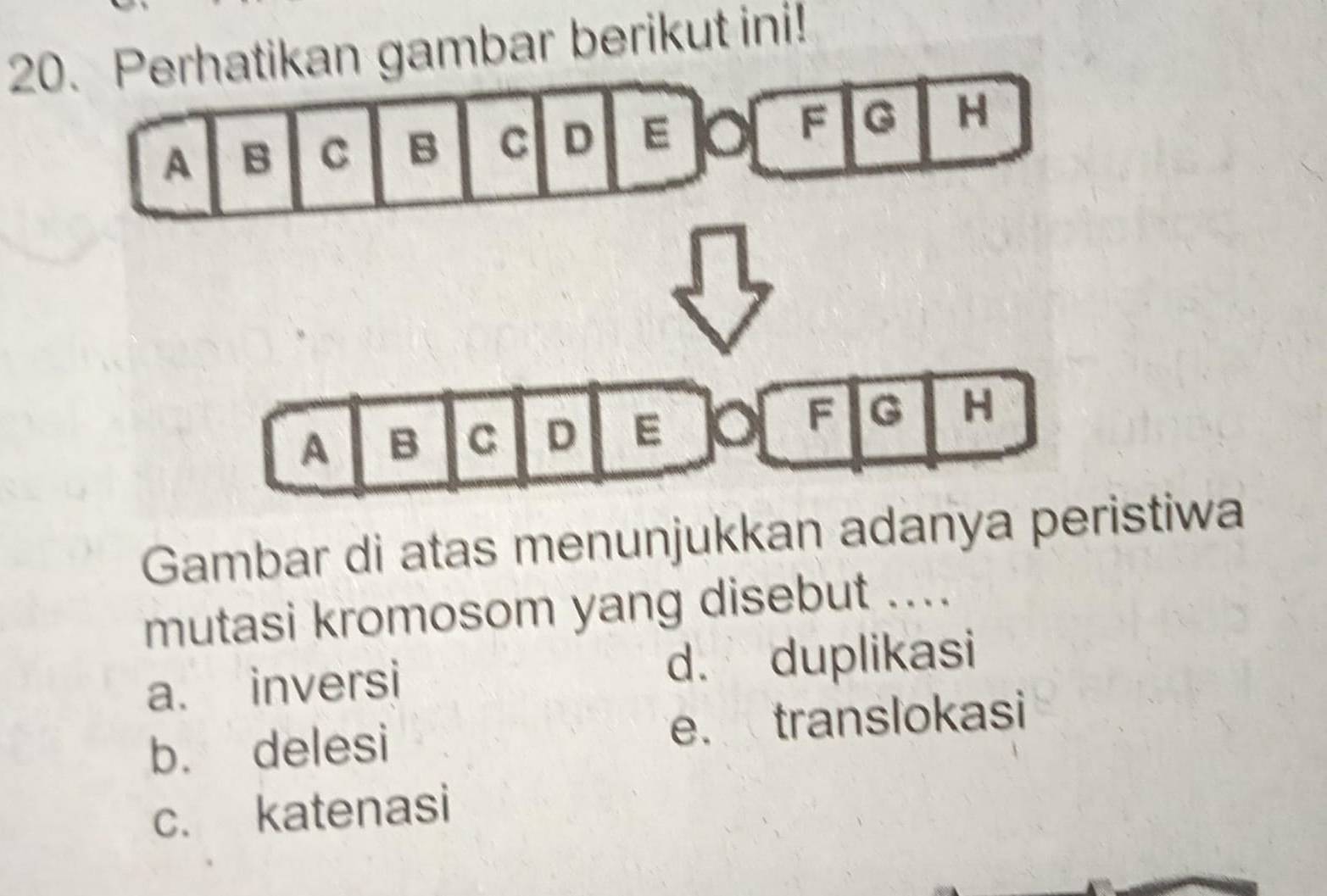 Perhatikan gambar berikut ini!
A B C B C D E F G H
A B C D E
F G H
Gambar di atas menunjukkan adanya peristiwa
mutasi kromosom yang disebut ....
a. inversi d. duplikasi
b. delesi e. translokasi
c. katenasi