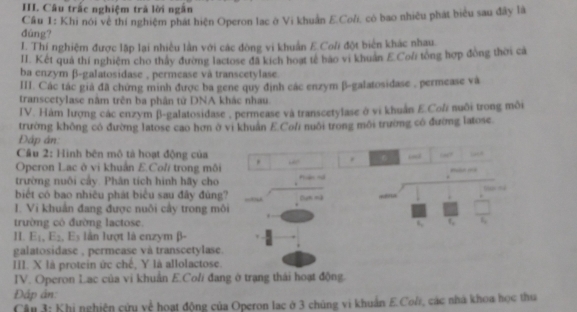 Câu trắc nghiệm trà lời ngắn
Cầu 1: Khi nói về thí nghiệm phát hiện Operon lạc ở Vi khuẩn E.Coli, có bao nhiều phát biểu sau đây là
đùng?
I. Thí nghiệm được lặp lại nhiều lần với các đòng vi khuẩn E.Co/i đột biển khác nhau.
II. Kết quả thí nghiệm cho thấy đường lactose đã kích hoạt tế bao vi khuẩn ECo/i tông hợp đồng thời cả
ba enzym β-galatosidase , permease và transcetylase.
III. Các tác giả đã chứng minh được ba gene quy định các enzym β-galatosidase , permease và
transcetylase năm trên ba phân từ DNA khác nhau.
IV. Hàm lượng các enzym β-galatosidase , permease và transcetylase ở vi khuẩn E.Cof nuôi trong môi
trường không có đường latose cao hơn ở vi khuẩn E.Coli nuôi trong môi trường có đường latose
Đáp án:
Câu 2: Hình bên mô tả hoạt động của
Operon Lạc ở vi khuẩn E.Col/ trong môi . “  and 17 ,“”
_ 
trường nuôi cấy. Phân tích hình hãy cho
biết có bao nhiêu phát biểu sau đây đùng? -
I. Vi khuẩn đang được nuôi cây trong môi
trường có đường lactose. 6, f, .  
II. E_1,E_2,E_3 lần lượt là enzym β-
galatosidase , permease và transcetylase.
III. X là protein ức chế, Y là allolactose.
IV. Operon Lạc của vi khuẩn E.Coli đang ở trạng thái hoạt động.
Đập án:
Câu 3: Khi nghiện cửu về hoạt động của Operon lạc ở 3 chúng vi khuẩn E.Col, các nhà khoa học thu