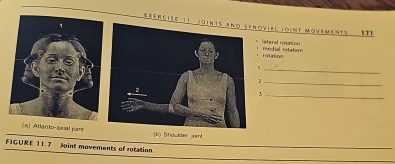 Eeercise 11novial (oint Moyements 171 
lateral notation 
roltion medial rotation 
_ 
_2 
-P_ 
(a) Atlanto-sial joie|b) Shaulder join! 
FIGURE 11.7 foint movements of rotation.