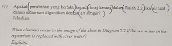 Apakah perubahan yang beriaku kepada imej kerang dalar Rajah 2.2 jika air laut ) 
dalam akuarium digantikan dengan air sungai? 
Jelaskan. 
What changes occur to the imaye of the clum in Diagram 2.2 if the sea water in the 
aquarium is replaced with river water? 
Explain