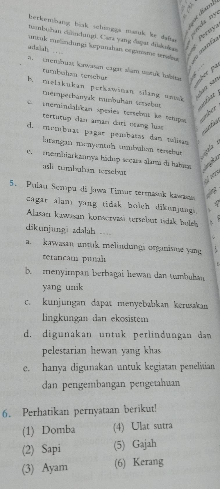 berkembang biak sehingga masuk ke daftar 
Pernya
tumbuhan dilindungi. Cara yang dapat dilakukan
untuk melindungi kepunahan organisme tersebut
adalah …
a. membuat kawasan cagar alam untuk habitat 
tumbuhan tersebut br
b. melakukan perkawinan silang untuk
ahan san
memperbanyak tumbuhan tersebut anfàat
c. memindahkan spesies tersebut ke tempat
umber
tertutup dan aman dari orang luar
nanfaal
d. membuat pagar pembatas dan tulisan
larangan menyentuh tumbuhan tersebut rigala
e. membiarkannya hidup secara alami di habitat lngkai
asli tumbuhan tersebut
ters
5. Pulau Sempu di Jawa Timur termasuk kawasan
ying
sp
cagar alam yang tidak boleh dikunjungi.
Alasan kawasan konservasi tersebut tidak boleh h
dikunjungi adalah ….
∴
a. kawasan untuk melindungi organisme yang
terancam punah 2
b. menyimpan berbagai hewan dan tumbuhan
yang unik
c. kunjungan dapat menyebabkan kerusakan
lingkungan dan ekosistem
d. digunakan untuk perlindungan dan
pelestarian hewan yang khas
e. hanya digunakan untuk kegiatan penelitian
dan pengembangan pengetahuan
6. Perhatikan pernyataan berikut!
(1) Domba (4) Ulat sutra
(2) Sapi (5) Gajah
(3) Ayam (6) Kerang