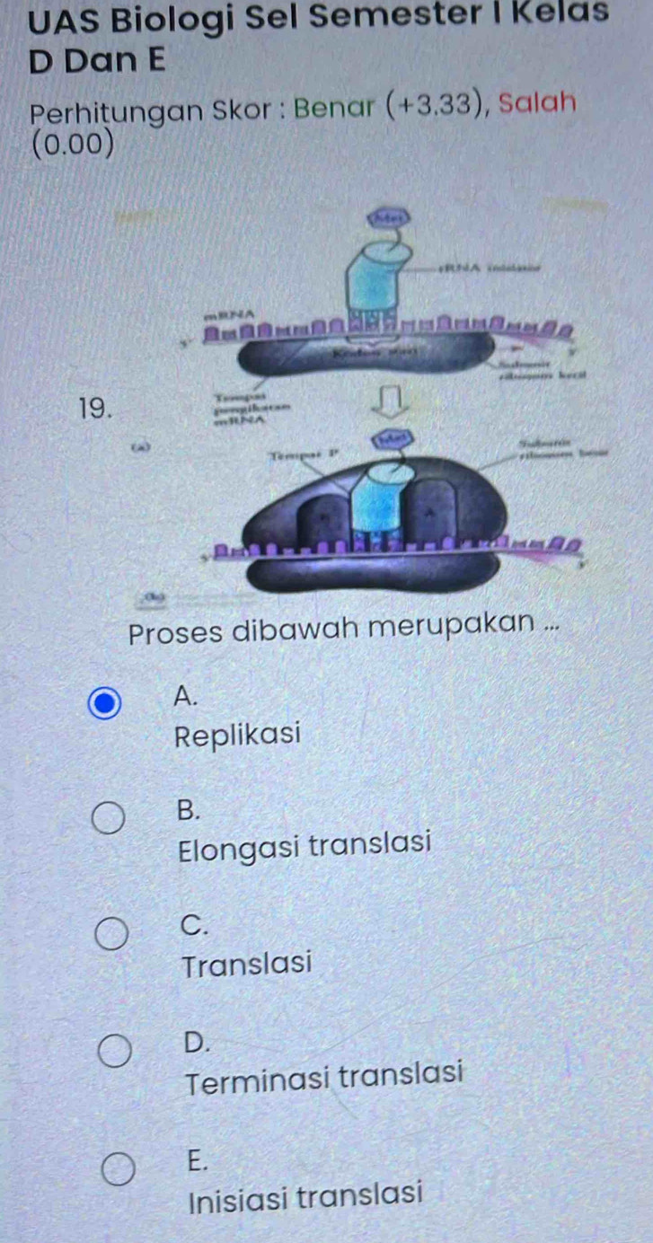 UAS Biologi Sel Semester I Kelas
D Dan E
Perhițungan Skor : Benar (+3.33) , Salah
(0.00)
19. 
(4)
Proses dibawah merupakan ...
A.
Replikasi
B.
Elongasi translasi
C.
Translasi
D.
Terminasi translasi
E.
Inisiasi translasi