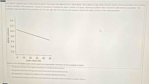 Each trail an organism has is determined by genes. Each gene has different forms called alleles. More atleles or high alletic rchness means that the population has a varety
of aieles available in the population. A group of ecologists is studying the allelic richness of a gecko, Nephrurus sfellafus after a forest fire affected their population. The
icologists collected data for the population for 50 years after the fire as the fire had severely reduced the atlelic richness of the initial population.
Based on the information given which would be an appropriate conclusion for the ecologists to draw?
The genetic diversity of the gecko population has declined since the fire.
The genetic diversity of the geckos has increased since the succession event.
The population of Nephrurus stellatus was positively affected by the fire.
The population of geckes will need a more significant succession event to stabilize its allefic richness.