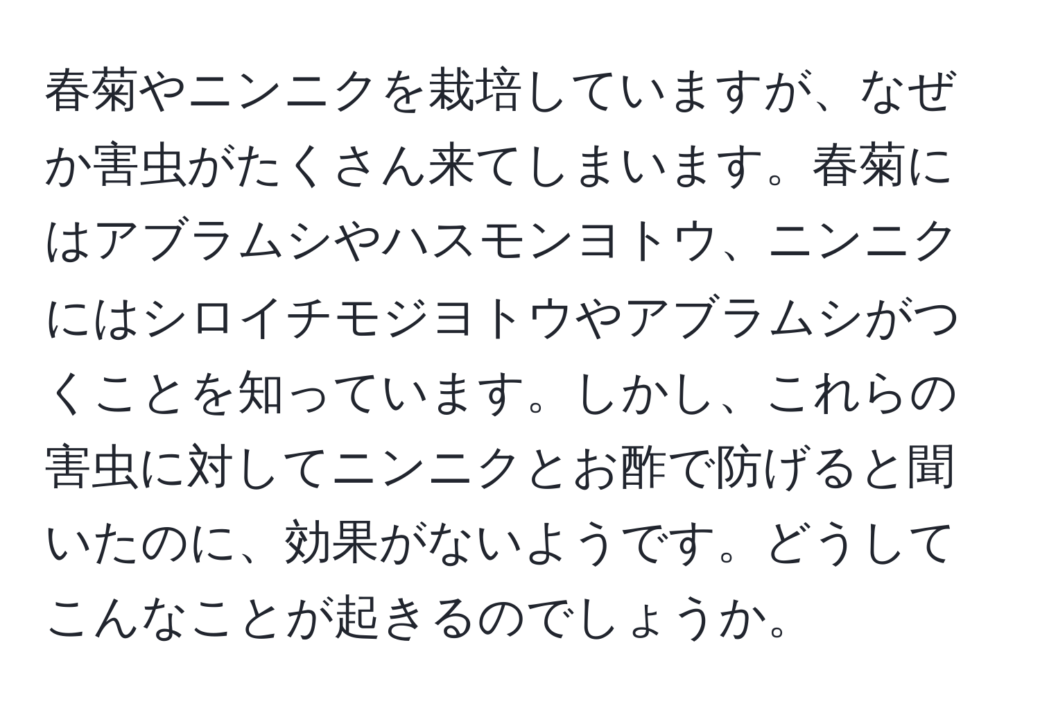 春菊やニンニクを栽培していますが、なぜか害虫がたくさん来てしまいます。春菊にはアブラムシやハスモンヨトウ、ニンニクにはシロイチモジヨトウやアブラムシがつくことを知っています。しかし、これらの害虫に対してニンニクとお酢で防げると聞いたのに、効果がないようです。どうしてこんなことが起きるのでしょうか。