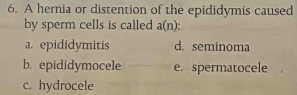 A hernia or distention of the epididymis caused
by sperm cells is called a(n) :
a. epididymitis d. seminoma
b. epididymocele e. spermatocele
c. hydrocele