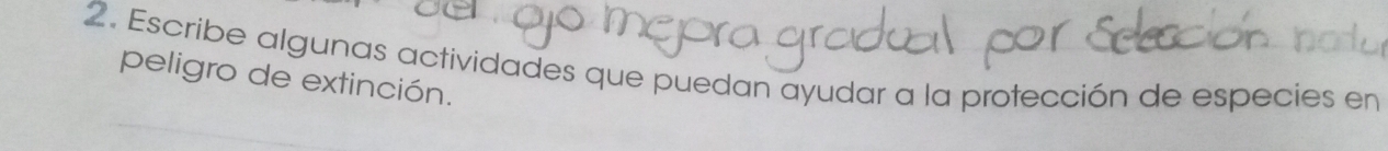 Escribe algunas actividades que puedan ayudar a la protección de especies en 
peligro de extinción.