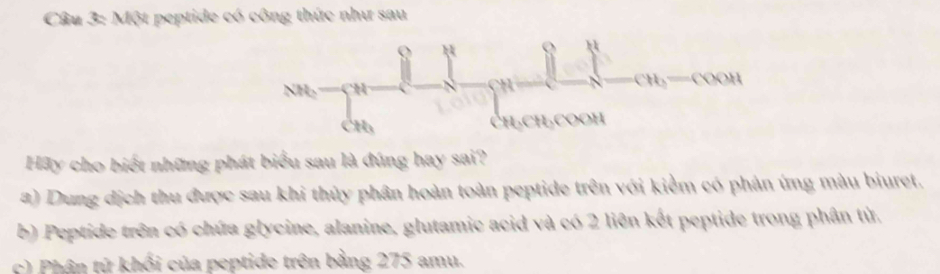 Một peptide có công thức như sau
μ
NHb H
CH_3=COOH
CH₃ Ch₃CH,COOH 
Hãy cho biết những phát biểu sau là đúng hay sai? 
a) Dung dịch thu được sau khi thủy phân hoàn toàn peptide trên với kiểm có phản ứng màu biuret. 
b) Peptide trên có chứa glycine, alanine, glutamic acid và có 2 liên kết peptide trong phân tử. 
c) Phân tử khối của peptide trên bằng 275 amu.