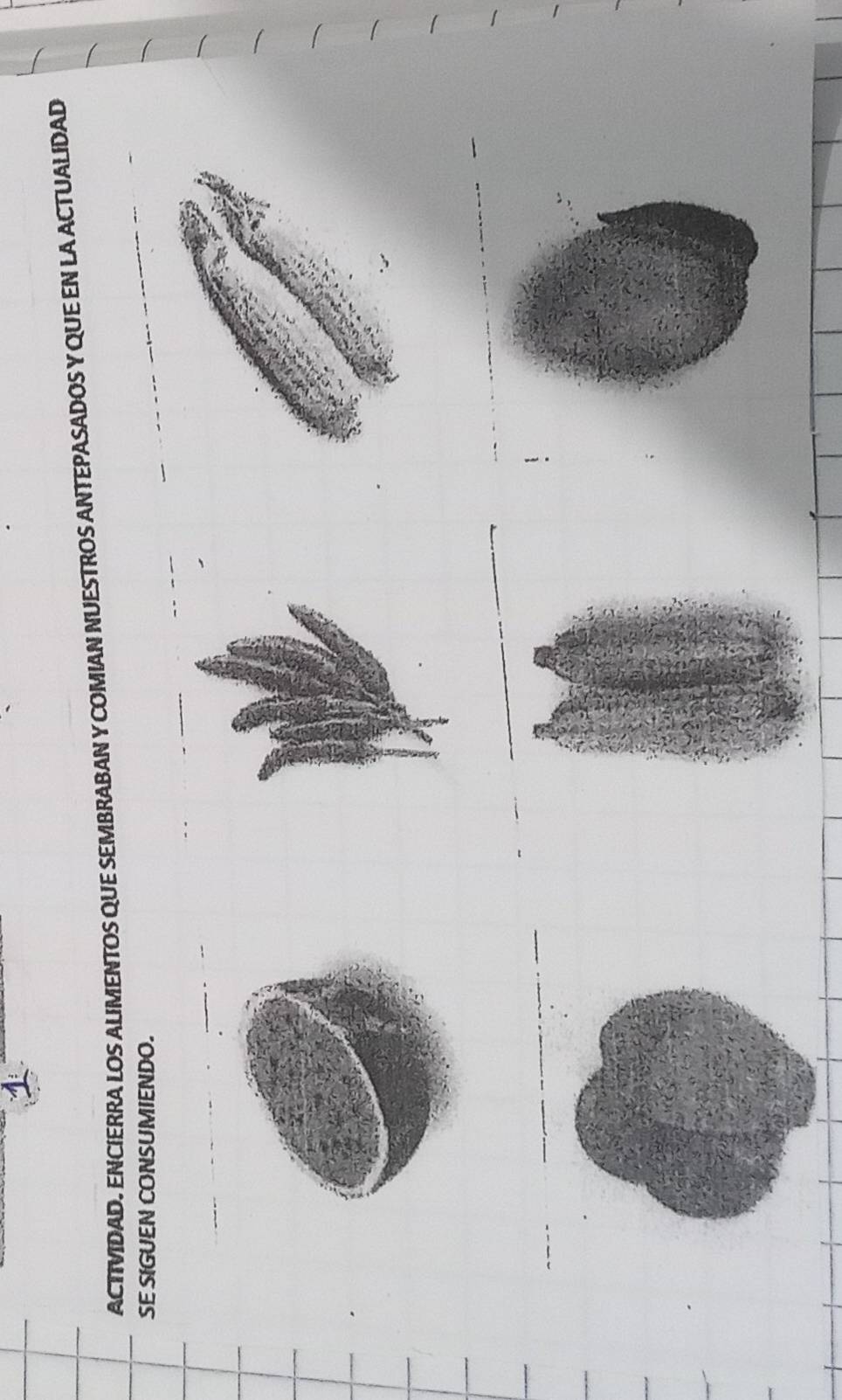 ACTIVIDAD. ENCIERRA LOS ALIMENTOS QUE SEMBRABAN Y COMIAN NUESTROS ANTEPASADOS Y QUE EN LA ACTUALIDAD 
SE SIGUEN CONSUMIENDO. 
_ 
_ 
_ 
_