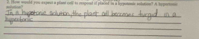 How would you expect a plant cell to respond if placed in a hypotonic solution? A hypertonic 
solution? 
_ 
_ 
_ 
_