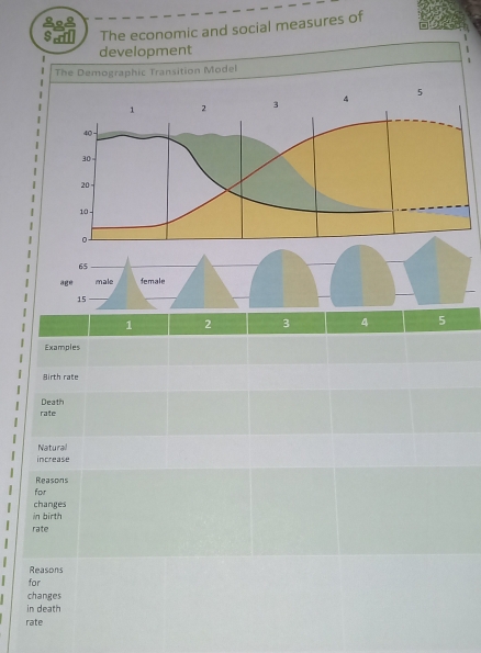 gog 
$edl The economic and social measures of 
development 
The Demographic Transition Model 
|
1 2 3 4 5.
40
|
30
20
10 -
0
65
age male female 

|