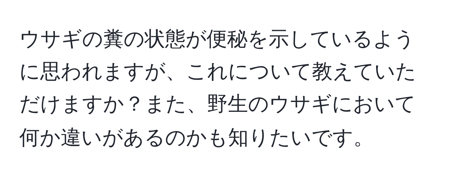 ウサギの糞の状態が便秘を示しているように思われますが、これについて教えていただけますか？また、野生のウサギにおいて何か違いがあるのかも知りたいです。