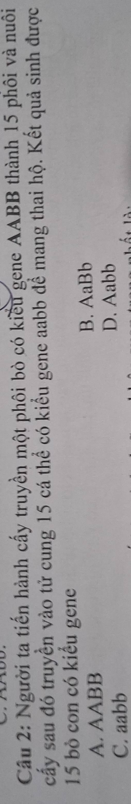 Cầu 2: Người ta tiến hành cấy truyền một phôi bò có kiểu gene AABB thành 15 phôi và nuôi
cấy sau đó truyền vào tử cung 15 cá thể có kiểu gene aabb để mang thai hộ. Kết quả sinh được
15 bò con có kiểu gene
A. AABB
B. AaBb
C. aabb D. Aabb