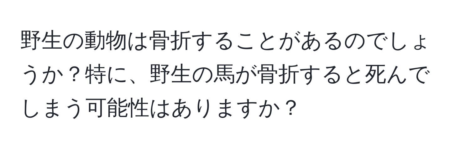 野生の動物は骨折することがあるのでしょうか？特に、野生の馬が骨折すると死んでしまう可能性はありますか？