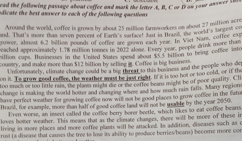 ead the following passage about coffee and mark the letter A, B, C or D on your a w e 
adicate the best answer to each of the following questions. 
Around the world, coffee is grown by about 25 million farmworkers on about 27 million acre 
and. That's more than seven percent of Earth's surface! Just in Brazil, the world's largest co 
grower, almost 6.2 billion pounds of coffee are grown each year. In Viet Nam, coffee exp 
eached approximately 1.78 million tonnes in 2022 alone. Every year, people drink more than 
billion cups. Businesses in the United States spend about $5.5 billion to bring coffee into 
country, and make more than $12 billion by selling it. Coffee is big business. 
Unfortunately, climate change could be a big threat to this business and the people who dep 
on it. To grow good coffee, the weather must be just right. If it is too hot or too cold, or if the 
too much or too little rain, the plants might die or the coffee beans might be of poor quality. Cli 
change is making the world hotter and changing where and how much rain falls. Many regions 
have perfect weather for growing coffee now will not be good places to grow coffee in the futu 
Brazil, for example, more than half of good coffee land will not be usable by the year 2050. 
Even worse, an insect called the coffee berry borer beetle, which likes to eat coffee beans, 
loves hotter weather. This means that as the climate changes, there will be more of these in 
living in more places and more coffee plants will be attacked. In addition, diseases such as c 
rust (a disease that causes the tree to lose its ability to produce berries/beans) become more cor