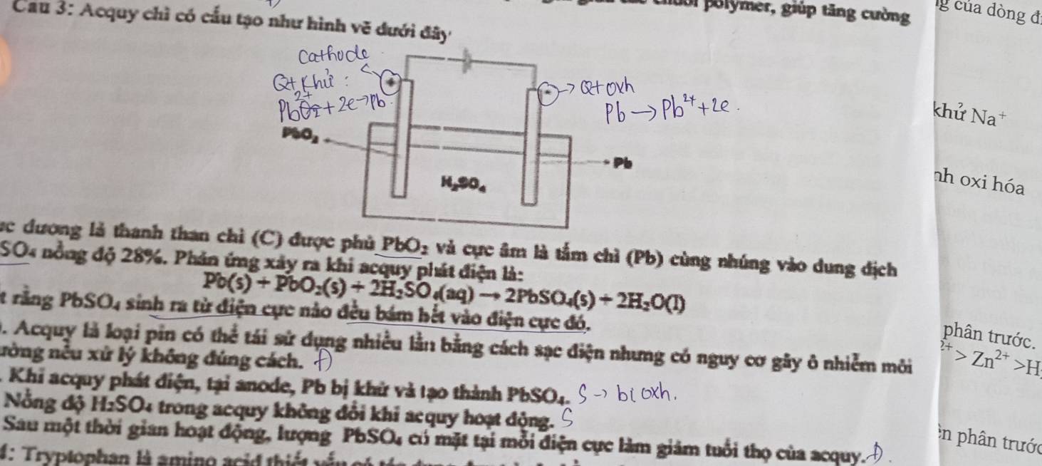 Cời polymer, giúp tăng cường
g của dòng đ
Cau 3: Acquy chì có cấu tạo như hình vẽ đưới đây
khử Na
nh oxi hóa
vc dương là thanh than c) được phủ PbO_2 và cực âm là tắm chỉ (Pb) cùng nhúng vào dung địch
SO4 nồng độ 28%. Phản ứng xây ra khi acquy phát điện là:
Pb(s)+PbO_2(s)+2H_2SO_4(aq)to 2PbSO_4(s)+2H_2O(l)
t rằng PbSO4 sinh ra từ điện cực nào đều bám hết vào điện cực đó.
phân trước.
0. Acquy là loại pin có thể tái sử dụng nhiều lằn bằng cách sạc điện nhưng có nguy cơ gây ô nhiễm môi^(sumlimits ^2+)>Zn^(2+)>H
ường nếu xử lý không đúng cách.
. Khi acquy phát điện, tại anode, Pb bị khử và tạo thành PbSO4.
Nổng độ H₂SO4 trong acquy không đổi khi acquy hoạt động.
ên phân trước
Sau một thời gian hoạt động, lượng PbSO4 có mặt tại mỗi điện cực làm giám tuổi thọ của acquy.
4: Tryptophan là amino acid thiết