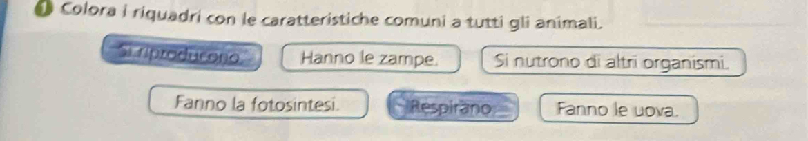 Colora i riquadri con le caratteristiche comuni a tutti gli animali.
Si riproducono Hanno le zampe. Si nutrono di altri organismi.
Fanno la fotosintesi. Respirano Fanno le uova.