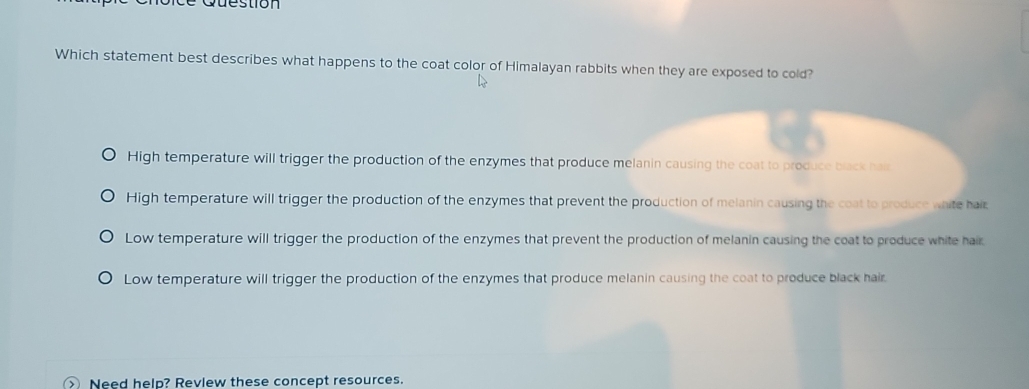 Question
Which statement best describes what happens to the coat color of Himalayan rabbits when they are exposed to cold?
High temperature will trigger the production of the enzymes that produce melanin causing the coat to produce black hair
High temperature will trigger the production of the enzymes that prevent the production of melanin causing the coat to produce white hair
Low temperature will trigger the production of the enzymes that prevent the production of melanin causing the coat to produce white hair
Low temperature will trigger the production of the enzymes that produce melanin causing the coat to produce black hair.
Need help? Revlew these concept resources.