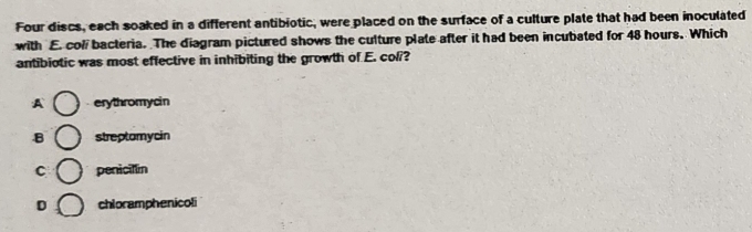 Four discs, each soaked in a different antibiotic, were placed on the surface of a culture plate that had been inoculated
with E. col bacteria. The diagram pictured shows the culture plate after it had been incubated for 48 hours. Which
antibiotic was most effective in inhibiting the growth of E. col??
A erythromycin
B streptomycin
C penicillin
D chloramphenicoli