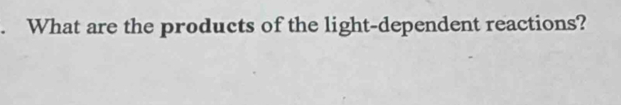 What are the products of the light-dependent reactions?