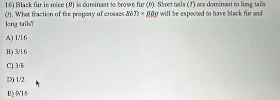 Black fur in mice (B) is dominant to brown fur (b). Short tails (7) are dominant to long tails
(t). What fraction of the progeny of crosses BbTt* BBtt will be expected to have black fur and
long tails?
A) 1/16
B) 3/16
C) 3/8
D) 1/2
E) 9/16