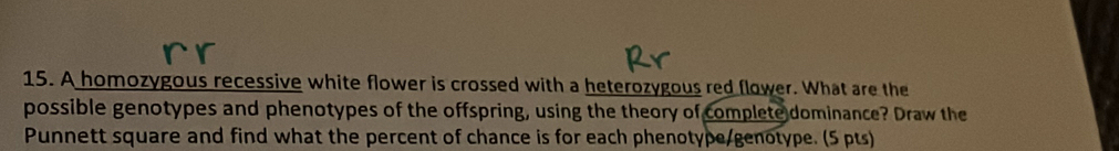 A homozygous recessive white flower is crossed with a heterozygous red flower. What are the 
possible genotypes and phenotypes of the offspring, using the theory of complete dominance? Draw the 
Punnett square and find what the percent of chance is for each phenotype/genotype. (5 pts)