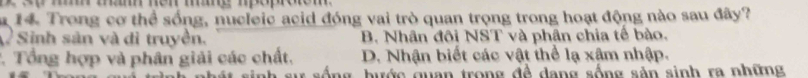 Trong cơ thể sống, nucleic acid đóng vai trò quan trọng trong hoạt động nào sau đây?
Sinh sản và di truyền. B. Nhân đôi NST và phân chia tế bào.
*. Tổng hợp và phân giải các chất. D. Nhận biết các vật thể lạ xâm nhập.
u sống, bước quan trong đề dang sống sản sinh ra những