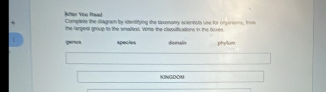 After You Read
Complete the diagram by identifying the taxonomy scientists use for organisms, from
the largest group to the smallest. Write the classifications in the boxes
genus species domain phylum
KINGDOM