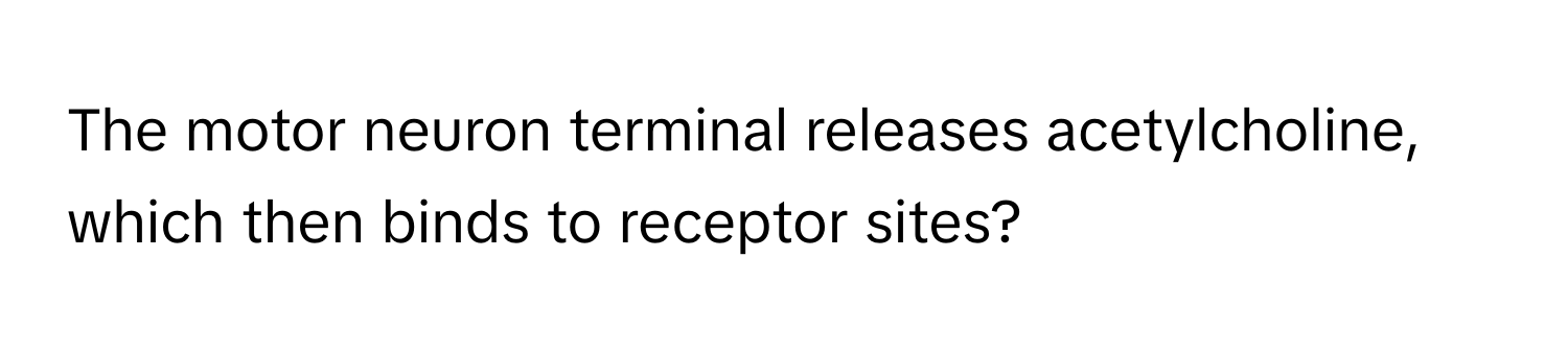 The motor neuron terminal releases acetylcholine, which then binds to receptor sites?