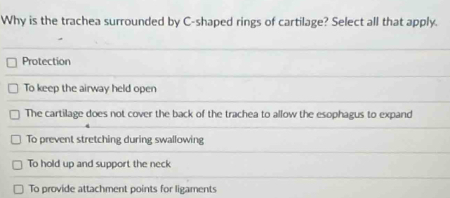 Why is the trachea surrounded by C-shaped rings of cartilage? Select all that apply.
Protection
To keep the airway held open
The cartilage does not cover the back of the trachea to allow the esophagus to expand
To prevent stretching during swallowing
To hold up and support the neck
To provide attachment points for ligaments