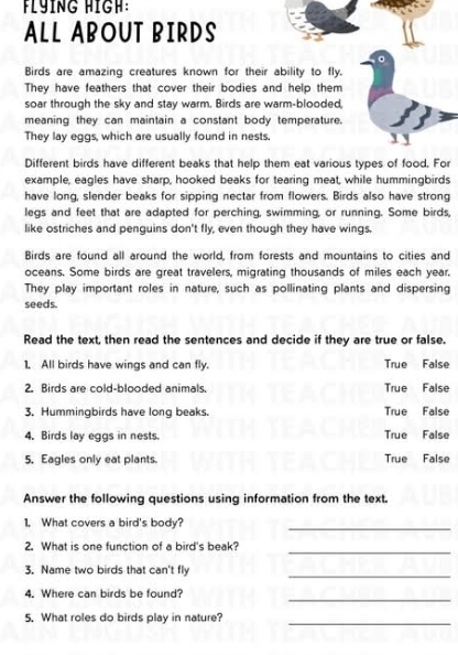 Fl ing hi g h 
ALL ABOUT BIRDS
Birds are amazing creatures known for their ability to fly.
They have feathers that cover their bodies and help them
soar through the sky and stay warm. Birds are warm-blooded,
meaning they can maintain a constant body temperature.
They lay eggs, which are usually found in nests.
Different birds have different beaks that help them eat various types of food. For
example, eagles have sharp, hooked beaks for tearing meat, while hummingbirds
have long, slender beaks for sipping nectar from flowers. Birds also have strong
legs and feet that are adapted for perching, swimming, or running. Some birds,
like ostriches and penguins don't fly, even though they have wings.
Birds are found all around the world, from forests and mountains to cities and
oceans. Some birds are great travelers, migrating thousands of miles each year.
They play important roles in nature, such as pollinating plants and dispersing
seeds.
Read the text, then read the sentences and decide if they are true or false.
1. All birds have wings and can fly. True False
2. Birds are cold-blooded animals. True False
3. Hummingbirds have long beaks. True False
4. Birds lay eggs in nests. True False
5. Eagles only eat plants. True False
Answer the following questions using information from the text.
1. What covers a bird's body?_
2. What is one function of a bird's beak?
_
3. Name two birds that can't fly
_
_
4. Where can birds be found?
5. What roles do birds play in nature?_