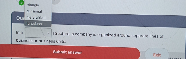 triangle
divisional
Que hierarchical
functional
In a structure, a company is organized around separate lines of
business or business units.
Submit answer
Exit