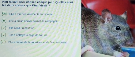 Kim faisait deux choses chaque jour. Quelles sont
les deux choses que Kim faisait ?
UN Elle a mis des vêtements sur son rat.
B Elle a eu un nouvel animal de compagnie
C) Elle a fait un bruit fort.
D) Elle a nettoyé la cage de son rat.
ET) Elle a donné de la nourriture et de l'eau à son rat.