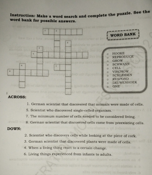 Instruction: Make a word search and complete the puzzle. See the 
word bank for possible answers. 
WORD BANK 
HOOKE 
REPRODUCE 
GROW 
SCHWANN 
CELL 
VIRCHOW 
SCHLEIDEN 
RESPOND 
LEUWENHOEK 
ONE 
1. German scientist that discovered that animals were made of cells. 
5. Scientist who discovered single-celled organism. 
7. The minimum number of cells needed to be considered living. 
8. German scientist that discovered cells come from preexisting cells. 
DOWN: 
2. Scientist who discovers cells while looking at the piece of cork. 
3. German scientist that discovered plants were made of cells. 
4. When a living thing react to a certain change. 
6. Living things experienced from infants to adults.