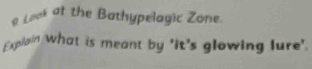 Look at the Bathypelagic Zone. 
Explain what is meant by ‘it’s glowing lure’.