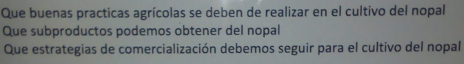 Que buenas practicas agrícolas se deben de realizar en el cultivo del nopal 
Que subproductos podemos obtener del nopal 
Que estrategias de comercialización debemos seguir para el cultivo del nopal