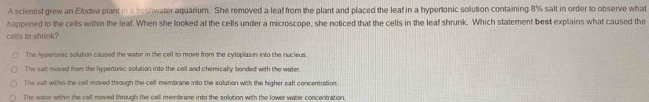 A scientist grew an Elodea plant in a beshwater aquarium. She removed a leaf from the plant and placed the leaf in a hypertonic solution containing 8% salt in order to observe what
happened to the cells within the leaf. When she looked at the cells under a microscope, she noticed that the cells in the leaf shrunk. Which statement best explains what caused the
cells to shrink?
The hypertonic solution caused the water in the cell to move from the cytoplasm into the nucleus.
The sait moved from the hypertonic solution into the cell and chemically bonded with the water
The salt within the cell moved through the cell membrane into the solution with the higher saft concentration.
The water within the cell moved through the cell membrane into the solution with the lower water concentration