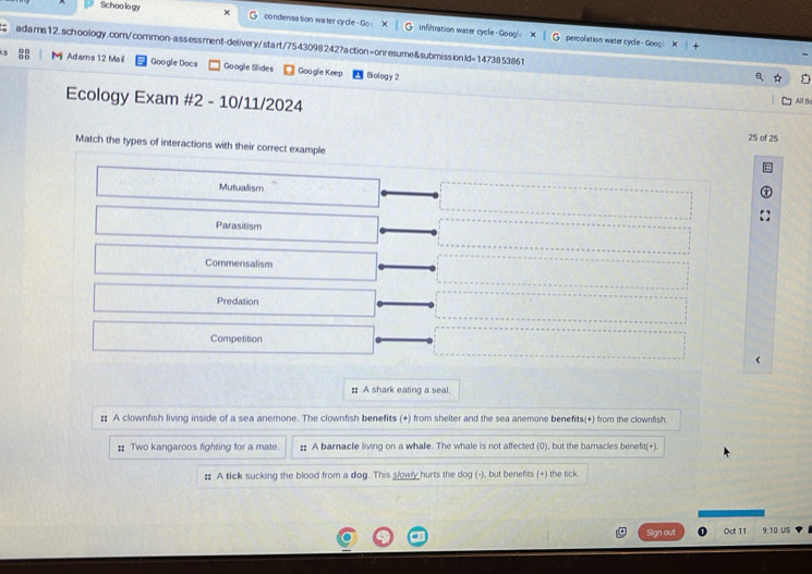 Schoolo gy × condensation wa ter cycle - Go infiltration water cycle - Goog!
percolation water cycle - Goog
adams12. schoology.com/common-assessment-delivery/start/7543098242?action=onresume&submissionId=1473853861
Mi Adams 12 Mail Google Docs Google Slides Google Keep Biology 2
Ecology Exam #2 - 10/11/2024
All Bc
25 of 25
Match the types of interactions with their correct example
Mutualism
Parasitism
Commensalism
Predation
Competition
: A shark eating a seal.
: A clownfish living inside of a sea anemone. The clownfish benefits (+) from shelter and the sea anemone benefits(+) from the clownfish.
: Two kangaroos fighting for a mate. : A barnacle living on a whale. The whale is not affected (0), but the barnacles benefit(+).
: A tick sucking the blood from a dog. This slowly hurts the dog (-), but benefits (+) the tick.
Sign out Oct 11 9:10 US