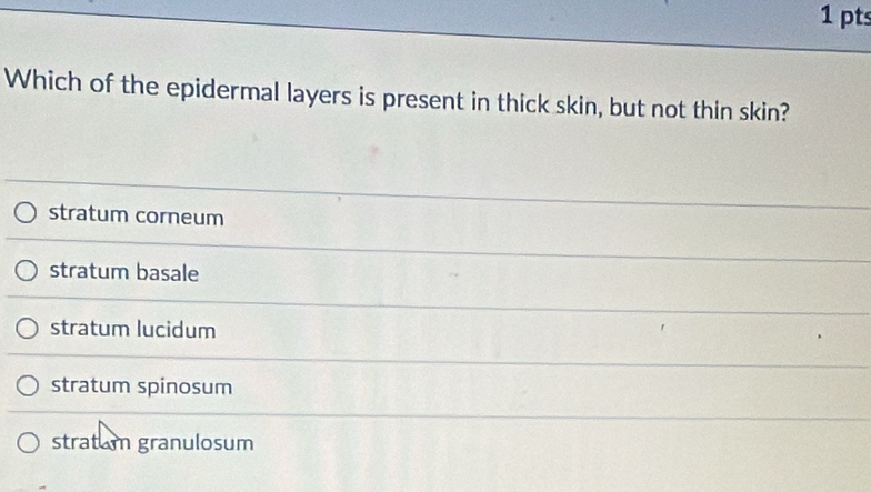 Which of the epidermal layers is present in thick skin, but not thin skin?
stratum corneum
stratum basale
stratum lucidum
stratum spinosum
stratam granulosum