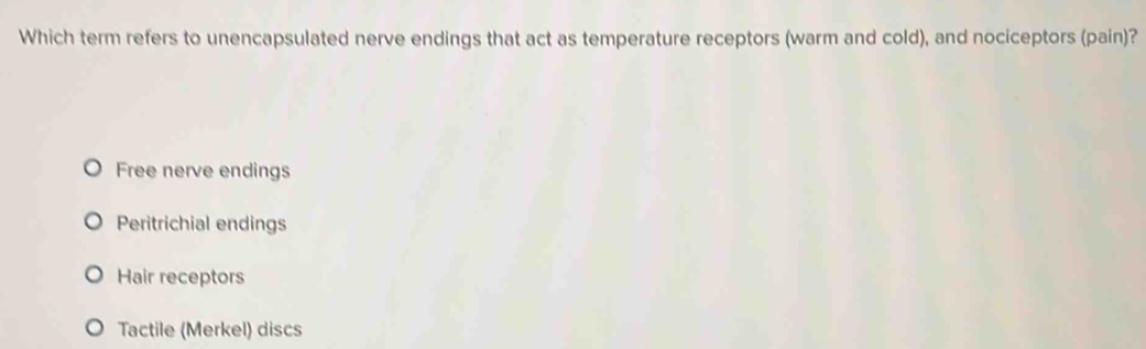 Which term refers to unencapsulated nerve endings that act as temperature receptors (warm and cold), and nociceptors (pain)?
Free nerve endings
Peritrichial endings
Hair receptors
Tactile (Merkel) discs