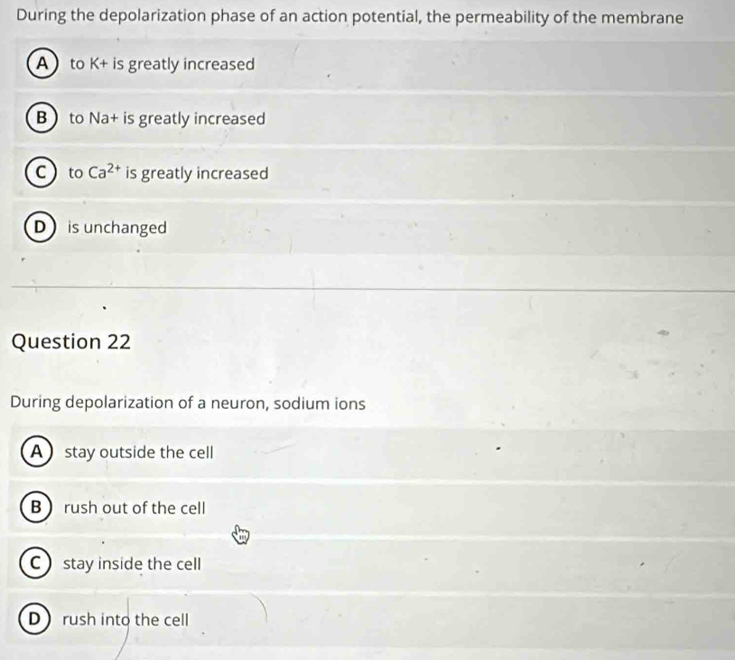 During the depolarization phase of an action potential, the permeability of the membrane
A to K+ is greatly increased
B to Na+ is greatly increased
cto Ca^(2+) is greatly increased
D is unchanged
Question 22
During depolarization of a neuron, sodium ions
A stay outside the cell
B  rush out of the cell
C stay inside the cell
D rush into the cell