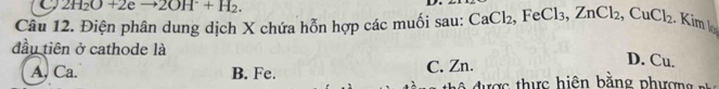 2H_2O+2eto 2OH+H_2. 
D.
Câu 12. Điện phân dung dịch X chứa hỗn hợp các muối sau: CaCl_2 , FeCl₃, ZnCl_2 CuCl_2. Kim l
đầu tiên ở cathode là
A, Ca. B. Fe. C. Zn.
D. Cu.
đ ộ đ ược thự c hiện bằng phượ