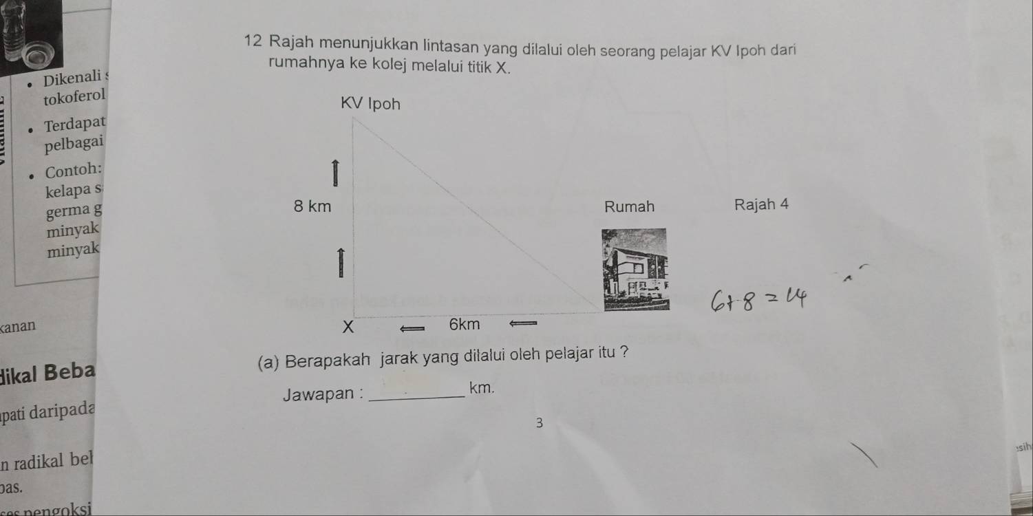 Rajah menunjukkan lintasan yang dilalui oleh seorang pelajar KV Ipoh dari 
rumahnya ke kolej melalui titik X. 
Dikenali s 
tokoferol 
Terdapat 
pelbagai 
Contoh: 
kelapa s 
germa g 
Rumah Rajah 4 
minyak 
minyak 
Kanan 
dikal Beba 
(a) Berapakah jarak yang dilalui oleh pelajar itu ? 
Jawapan : _ km. 
ápatí daripada 
n radikal bel 3 
:sih 
bas.